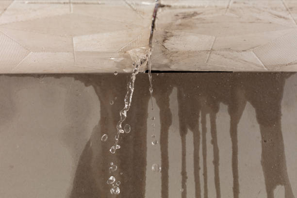 Professional Structural Drying technician working in Luray, TN